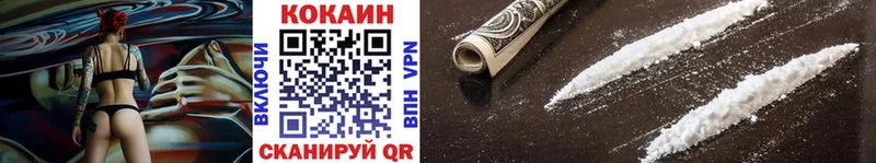 где купить   Новоузенск  COCAIN Эквадор 