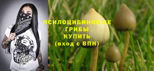 mdma Новозыбков