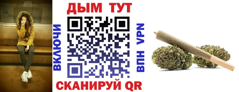 МАРИХУАНА сатива  Новоузенск 